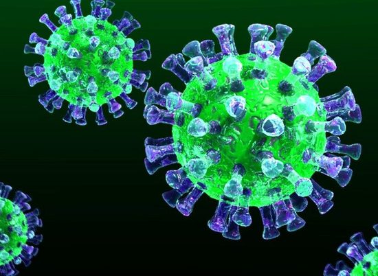 Число инфицированных коронавирусом в России выросло до 367